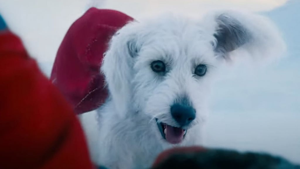 Krypto, le super-chien de Superman cartonne au cinéma, mais aussi sur Netflix avec un autre film !