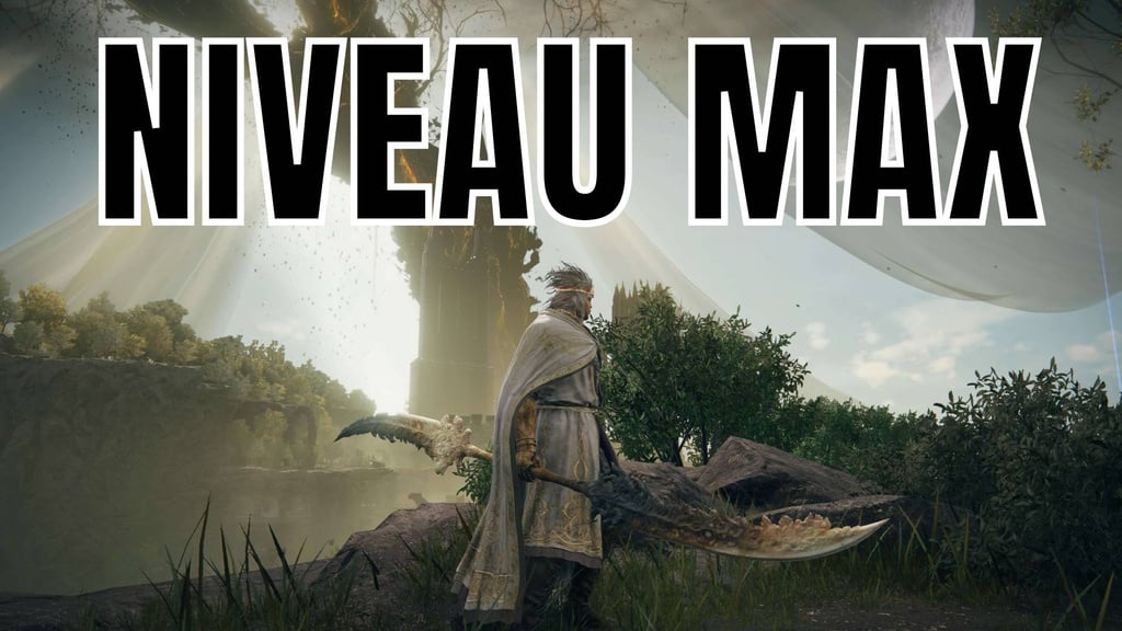 Niveau max Elden Ring : quel est le level maximum et comment l'atteindre efficacement ?
