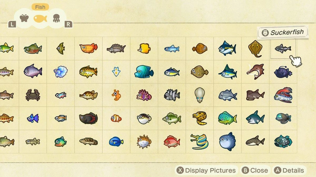 Poissons février Animal Crossing New Horizons : la liste complète