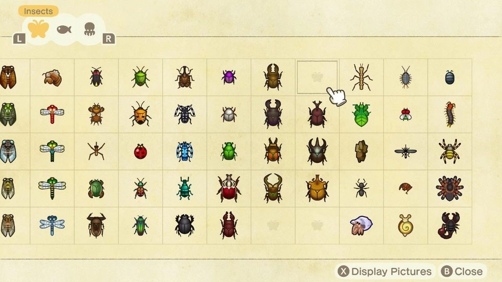 Insectes juin Animal Crossing New Horizons : la liste complète