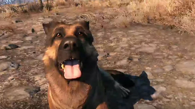 Fallout 4 : Dogmeat, ou quand le post-apo a du chien