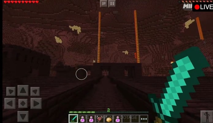 Le Nether