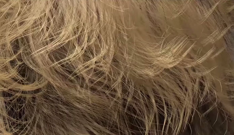 500.000 cheveux s'animent sur la version 1.1 de NVIDIA HairWorks