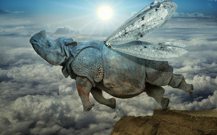 Far Cry Primal : Le rhinocéros volant, quand le moteur physique du jeu donne des ailes au mammifère à cornes