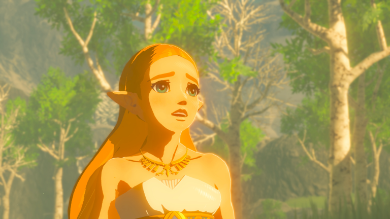 Zelda Breath of the Wild, Komplettlösung: Alle unsere Guides, um es vor Tears of the Kingdom fertigzustellen
