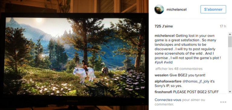 Wild : Michel Ancel poste un nouveau screenshot du jeu