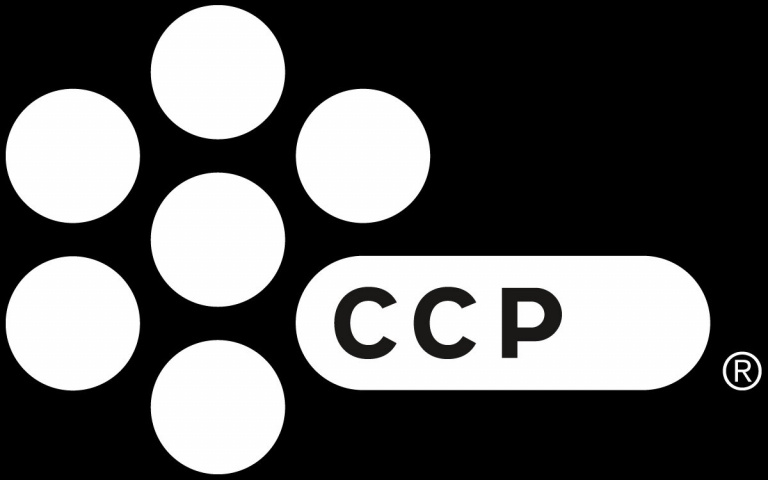 CCP recrute pour un « MMO ambitieux »