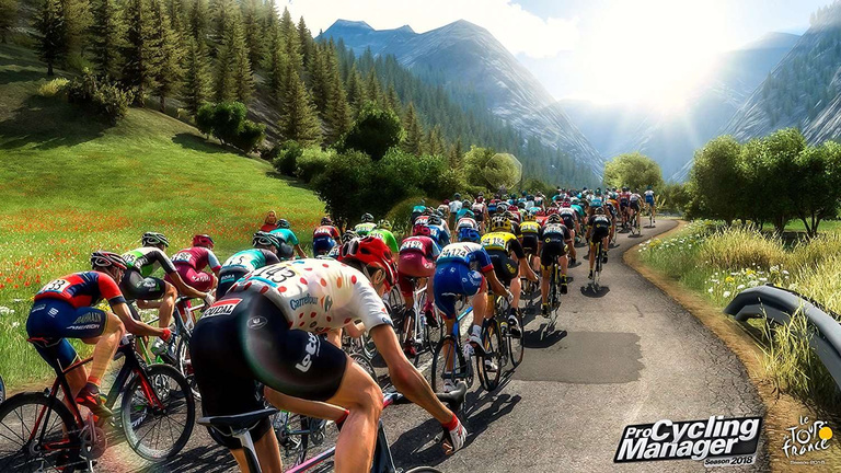 Pro Cycling Manager Guide