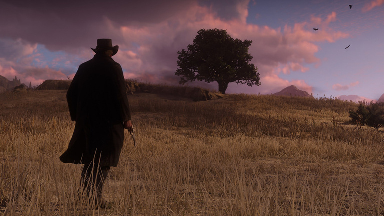Red Dead Redemption 2 : que donne le jeu sur PS4 standard