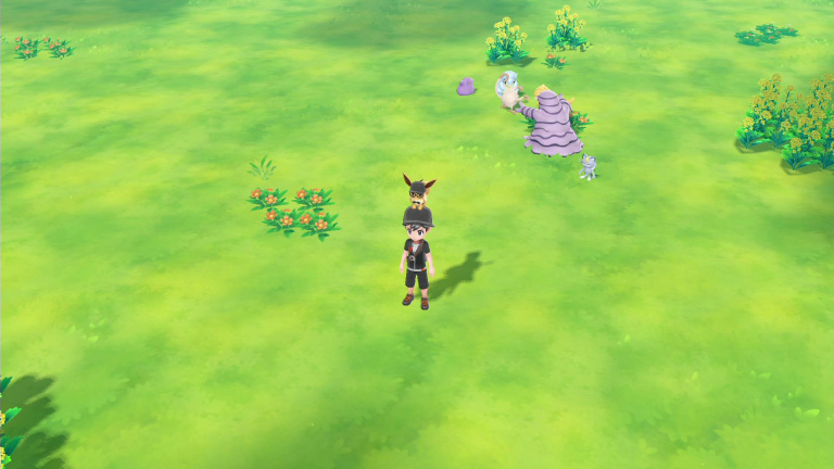 Le Parc Safari dans Pokémon Let’s GO Pikachu et Evoli