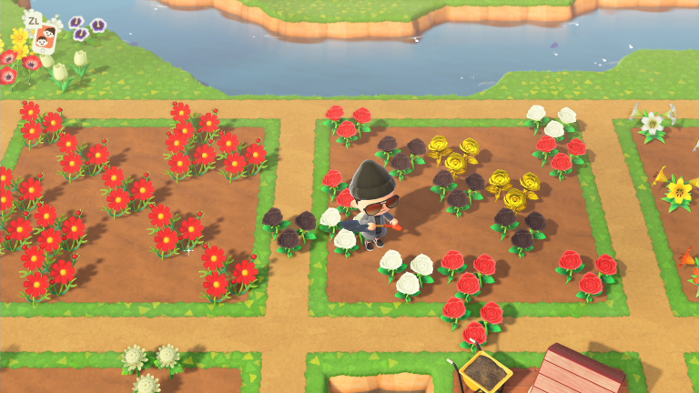 Animal Crossing New Horizons, roses d'or : comment les faire pousser ? Notre guide