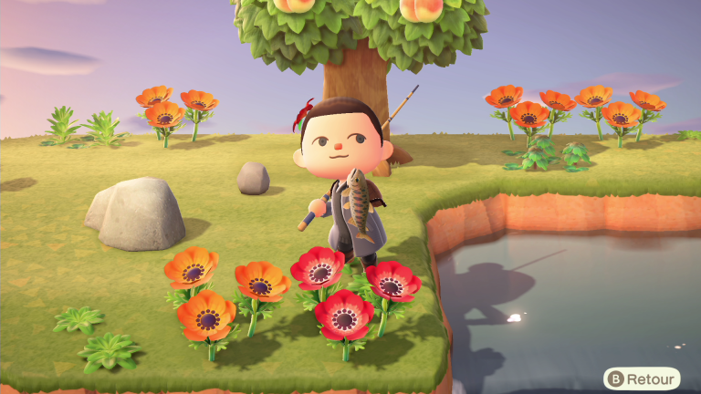 Animal Crossing New Horizons, bébêtes de mai : quelles espèces vont disparaître en juin ?