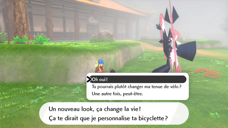 Pokémon Épée / Bouclier : Les personnages utiles d'Isolarmure, où les trouver, notre guide