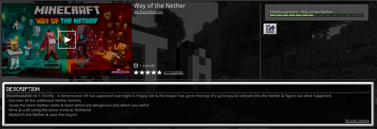 Minecraft, Way of the Nether : une aventure gratuite, comment y accéder