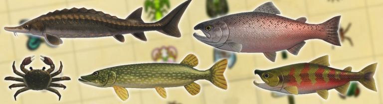 Animal Crossing New Horizons, changements de septembre : nouveaux insectes, poissons et créatures marines, notre guide