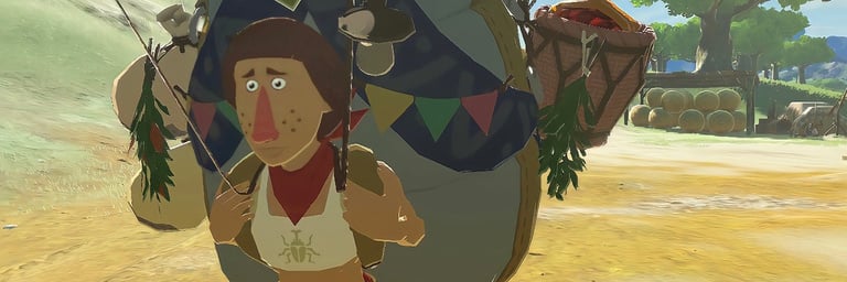 Zelda Breath of the Wild: Reuniting all Terrys is possible!  here's how