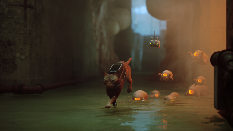 Stray: Everything you need to know about the sweetest game of the year