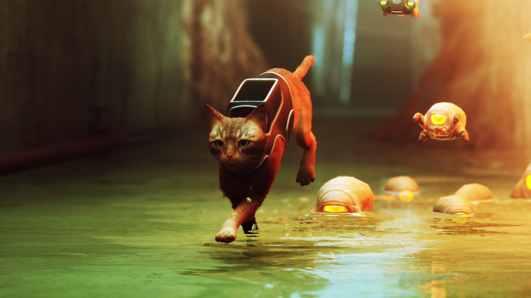 Stray: the cat game offers a nice surprise on PS5 only