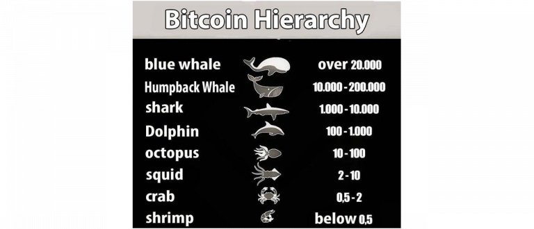 Hierarchie du bitcoin