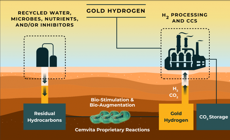 Produire de l'hydrogène propre et pas cher à partir de microbes mangeurs de pétrole, une solution ingénieuse et écologique !