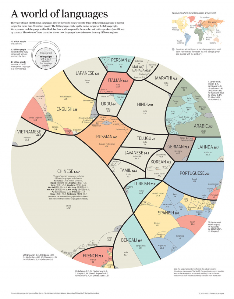 La véritable taille de toutes les langues du monde parfaitement illustrée dans ce graphique 