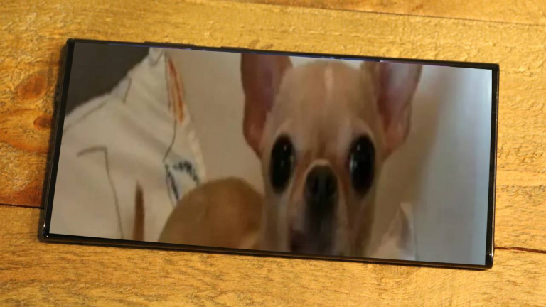 Un chihuahua se cache sur votre smartphone Samsung Galaxy