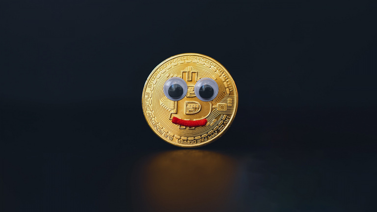 Bitcoin : 5 memes qui permettent de survivre à l'hiver des cryptos avec le sourire
