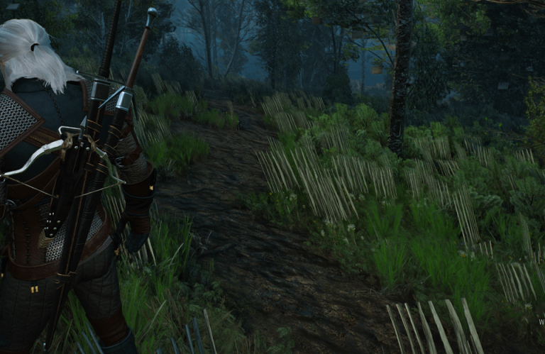 "Qu’ont-ils fait à ce jeu ?" : The Witcher 3 next gen pose de nombreux problèmes sur PC