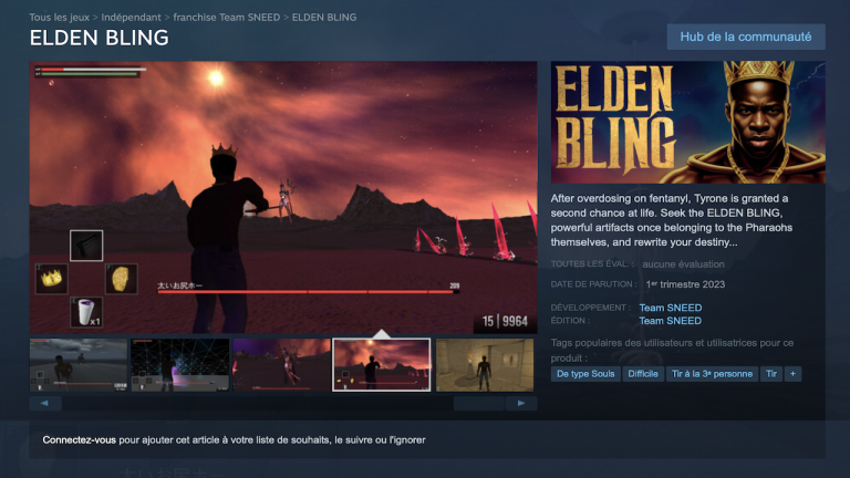 Attention à ne pas vous tromper d'Elden Ring : sa version troll ultime est sur Steam !