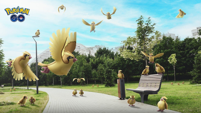Poulet d’avril Pokémon GO : Roucool Chaos, shiny hunting, étude spéciale... Notre guide