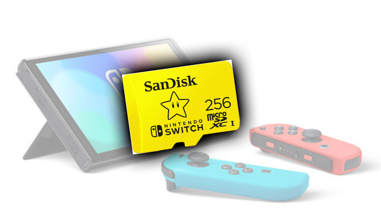 Carte SD 256 Go pour Nintendo Switch : les prix