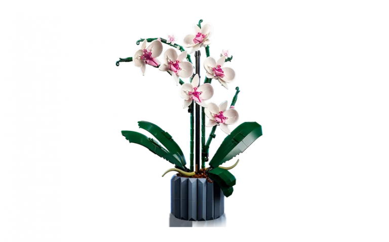 LEGO : offrez un bouquet de fleurs unique pour la fête des mères avec ce set de la collection botanique en promo !