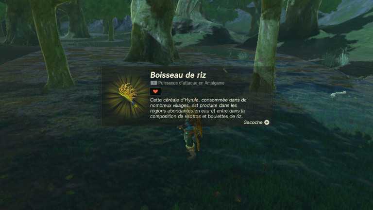 Boisseau de riz Zelda Tears of the Kingdom : comment obtenir cette ressource ?