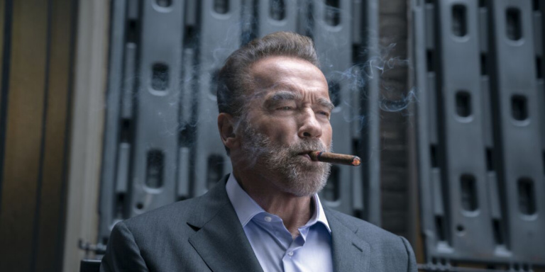Arnold Schwarzenegger makes the difference in this quirky series finally available on Netflix