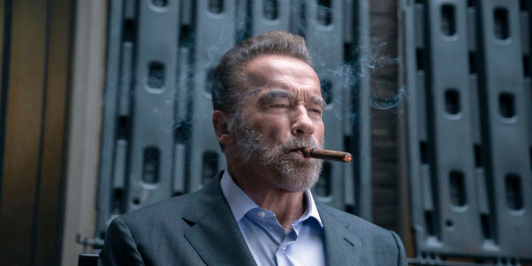 Arnold Schwarzenegger fait la différence dans cette série décalée enfin disponible sur Netflix