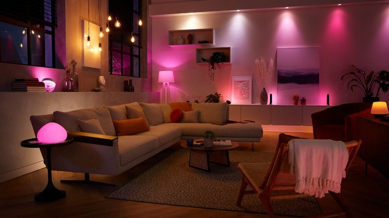 Avec ce pack découverte à -40%, vous allez faire des économies d'énergie en décorant votre intérieur ! 