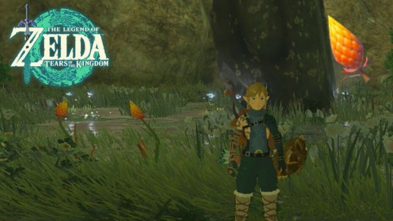 Fleur lame Zelda Tears of the Kingdom : où pouvons-nous collecter cette ressource ?