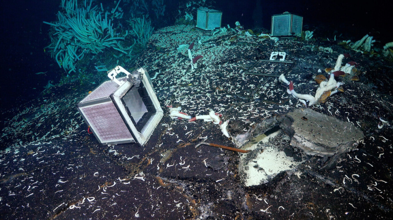 Nous venons de découvrir l’un des écosystèmes les plus extrêmes de notre planète. Et il se trouve dans les fonds marins !