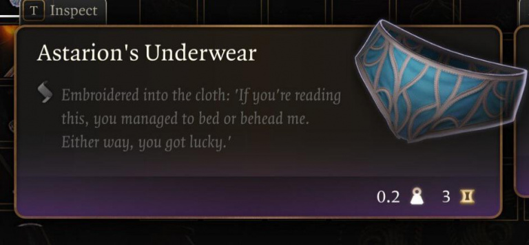La science du détail : même les sous-vêtements dans Baldur's Gate 3 ont une description, les fans adorent !