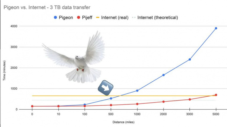 Même en 2023 et avec la technologie actuelle, un pigeon est capable d'être plus rapide que la fibre pour transmettre des données