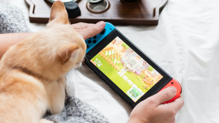 Comment savoir si un jeu Switch est compatible avec la Nintendo Switch Lite  ?