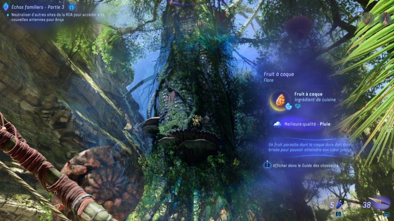 Un repas aux mille souvenirs Avatar Frontiers of Pandora : Champi pourpre, fruit à coque... Où les trouver dans la Forêt des Kinglors ?