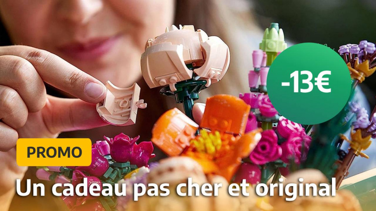 Ce LEGO Bouquet de fleurs est un cadeau parfait pour faire la paix avec sa belle mère à Noël, en plus, il est en promotion chez Cdiscount