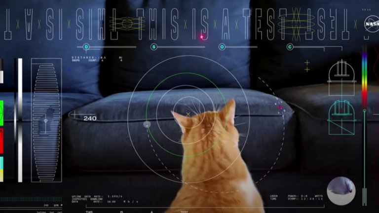 La NASA nous informe qu'une vidéo de chat en 4K envoyée depuis 30 millions de kilomètres vient d'arriver sur Terre