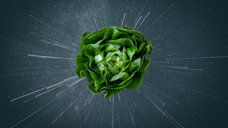 L'humanité cultive des salades dans l'espace depuis des années, mais des découvertes montrent que les légumes cultivés de cette manière pourraient être plus nocifs pour la santé