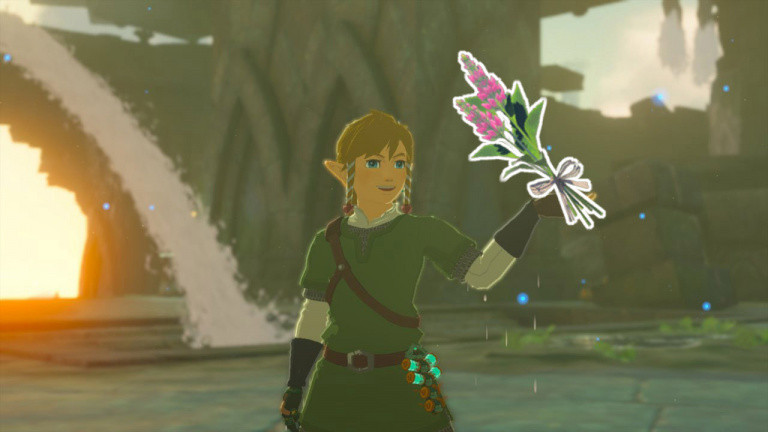 Herbe piment Zelda Tears of the Kingdom : Où en trouver ?