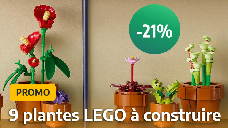 LEGO propose le cadeau parfait pour les amoureux des plantes et en plus il est à tout petit prix