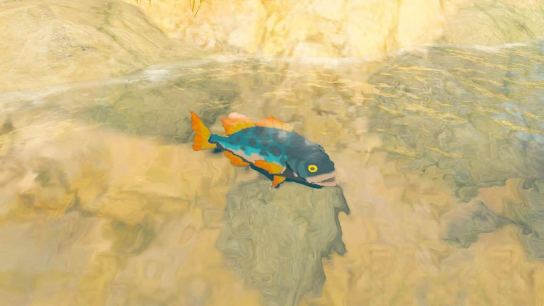 Perche max Zelda Tears of the Kingdom : Comment obtenir ce poisson ?