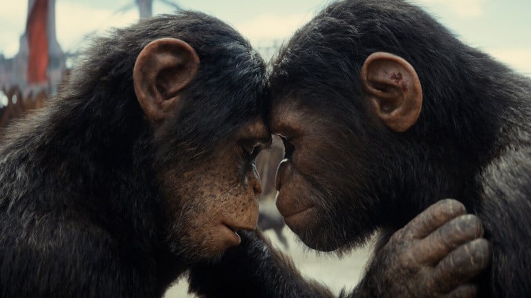 Dieser Science-Fiction-Film ist besser als James Camerons Avatar 2! Ich habe „Planet der Affen 4“ gesehen und es ist eine Meisterleistung