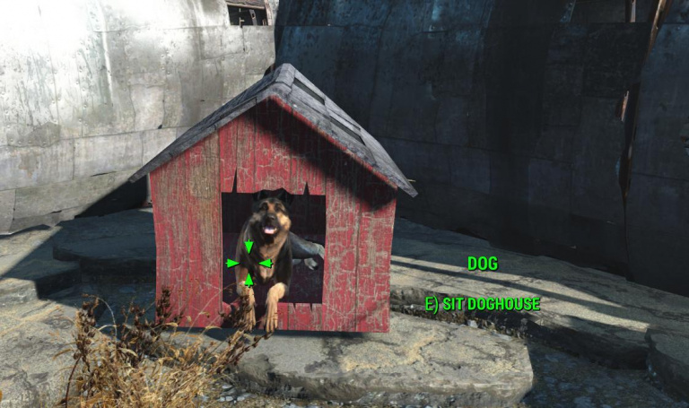 Canigou lost Fallout 4: How to find him and never lose him again? 
